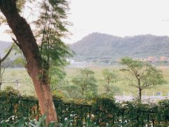 -风云岭森林公园