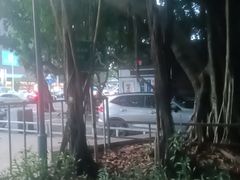 -光明港公园