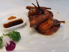 -四季海鲜酒楼·粤菜·早茶·宴会(南山中心区店)