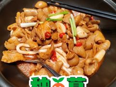 -好瑜筷桂鱼专门店(植物园店)