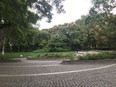 -玲珑塔公园