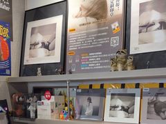 -浣熊唱片店(上海影城店)