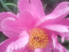 -长春公园(普阳街道)