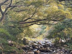 -广州市石门国家森林公园