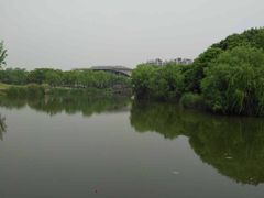 -新江湾城公园