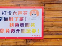 -大芦花风景区