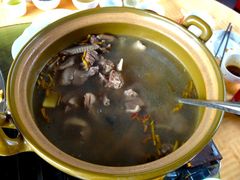 野生水鸭仔石斛汤-绿华园休闲山庄