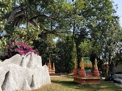 -瑞丽独树成林风景区