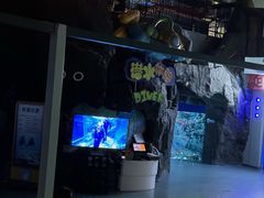 -海合安成都极地海洋公园