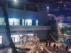 -自贡恐龙博物馆