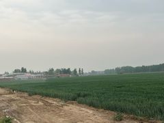 -草根堂农场