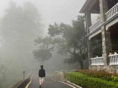 -莫干山风景区