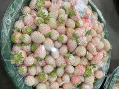 -西郊国际农产品交易中心