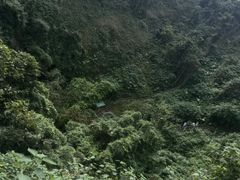 -海口火山口国家地质公园