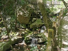 -青峰峡国家森林公园