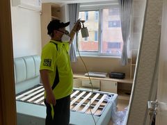 -绿色亿家除甲醛机构