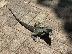 -可伦宾野生动物保护区