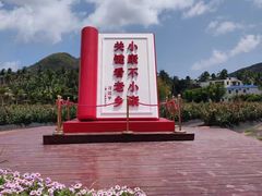 -亚龙湾国际玫瑰谷