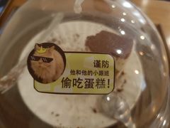 -有猫主题·治愈系猫咖(曾厝垵店)