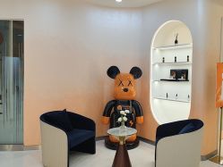 -彼家美创·量肤定制修护管理