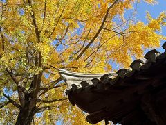 -水绘园
