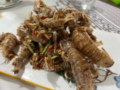 -肥仔濑尿虾(全球通总店)