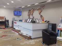 -3M博瑞达龙膜威固BOP保镖汽车贴膜隐形车衣(国贸店)