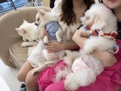 -怪兽屋·羊驼·猫咖·狗咖(俊华广场店)