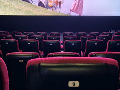 -万达影城(南海万达广场IMAX店)