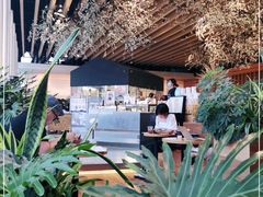 -Seesaw Coffee(朝阳大悦城店)