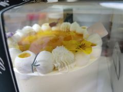 -山与蓝·轻糖鲜果蛋糕(勒泰店)