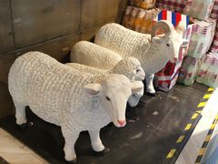 -额尔敦传统涮火锅·烧烤(鑫源山庄店)