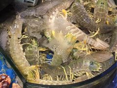 -陶陶居海鲜酒家(新马路店)