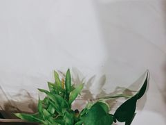 -裕和堂中医推拿艾灸(太古汇臻品店)