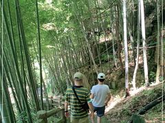 -藏龙百瀑风景区