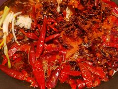 -朱光玉火锅馆(正弘城店)