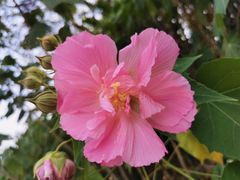 -福建鲤鱼洲酒店