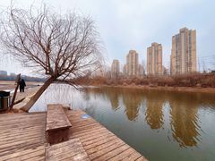 -前关湿地公园