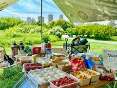 -九里河湿地公园