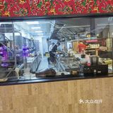 快来吃转塘这家人均60的东北菜！！！