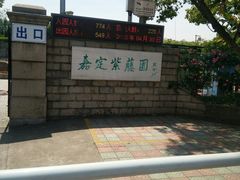 -嘉定紫藤园