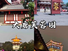 -秦始皇帝陵博物院(兵马俑)