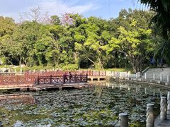 -南宁南湖公园