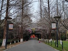 -宝岩生态观光园