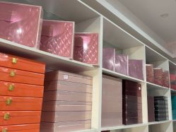 -香薇妮丝·定制减肥·身材管理