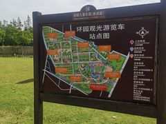 -上海长兴岛郊野公园