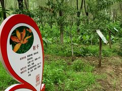 -草根堂农场