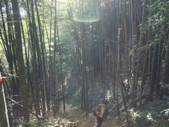 -莫干山风景区