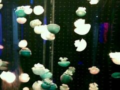 -多彩贵州城极地海洋世界