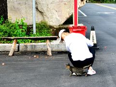 -井塘古村